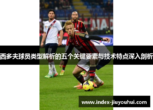西多夫球员类型解析的五个关键要素与技术特点深入剖析 西多夫球员类型解析的五个关键要素与技术特点深入剖析