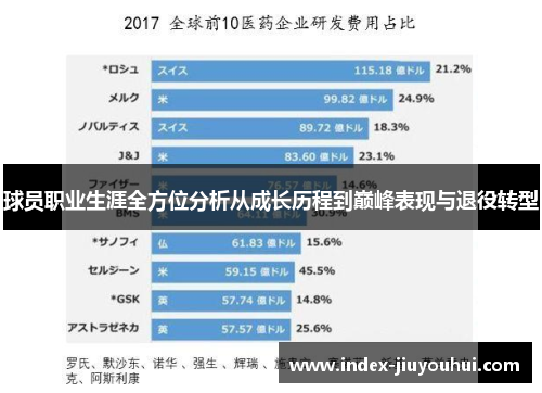球员职业生涯全方位分析从成长历程到巅峰表现与退役转型 球员职业生涯全方位分析从成长历程到巅峰表现与退役转型