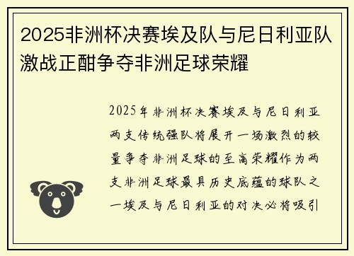 2025非洲杯决赛埃及队与尼日利亚队激战正酣争夺非洲足球荣耀